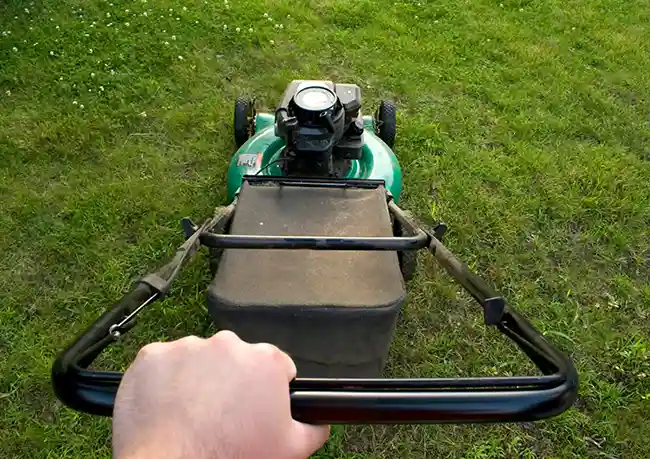 Garden and mowing services in Oxford