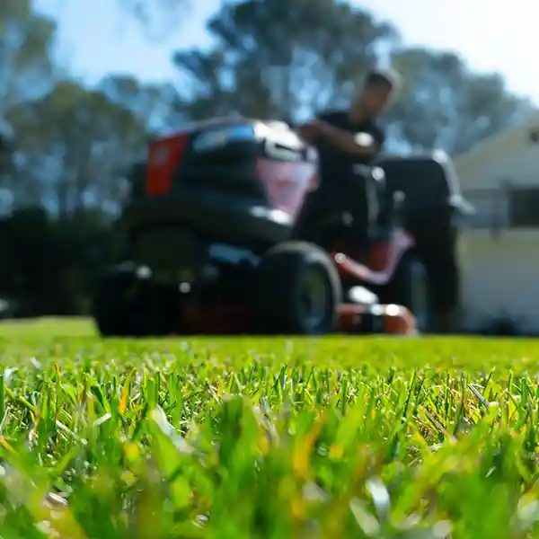Gardening and garden maintenance contracts