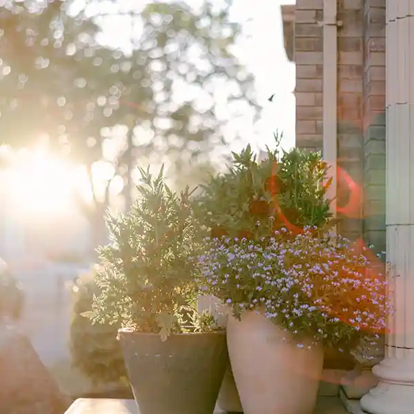 Oxfordshire garden Services
