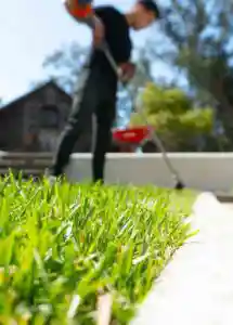 Garden and landscape maintenance