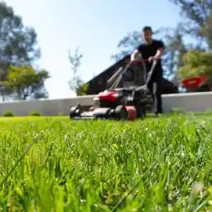 Landscape Garden Maintenance in Oxfordshire