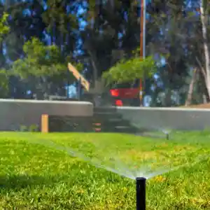 Landscape and gardening maintenance